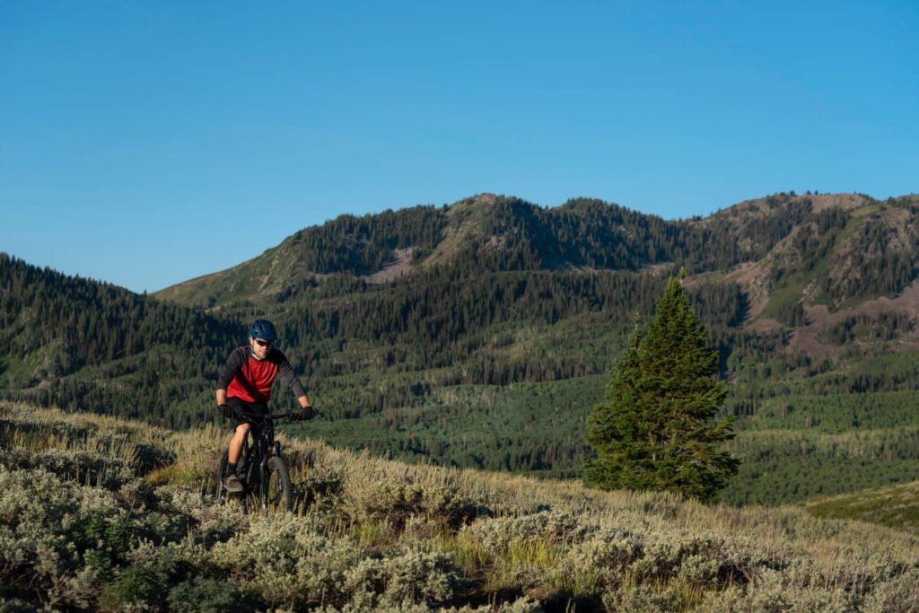 kingdom trails